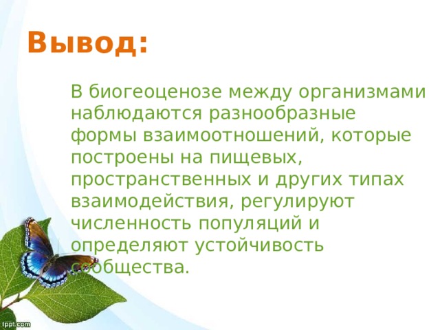 Вывод: В биогеоценозе между организмами наблюдаются разнообразные формы взаимоотношений, которые построены на пищевых, пространственных и других типах взаимодействия, регулируют численность популяций и определяют устойчивость сообщества. 