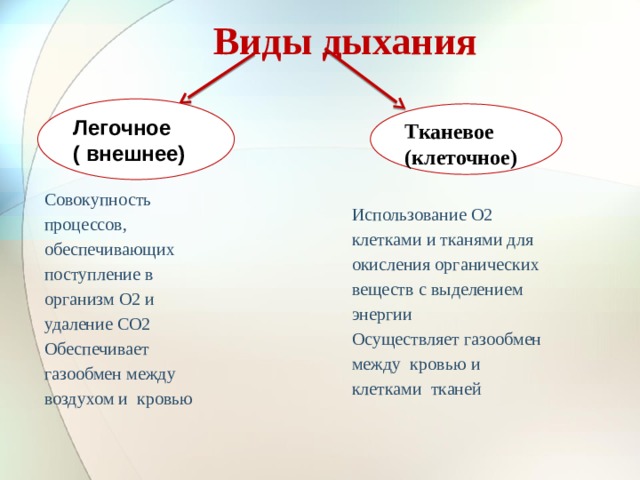 Сравнение процессоров фотосинтеза и дыхания таблица 6 класс ответы