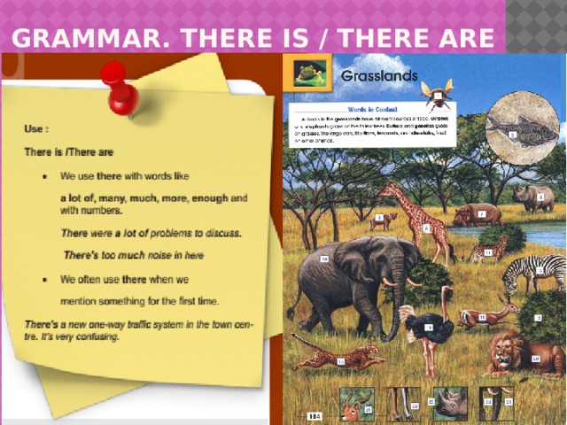 GRAMMAR. THERE IS / THERE ARE 