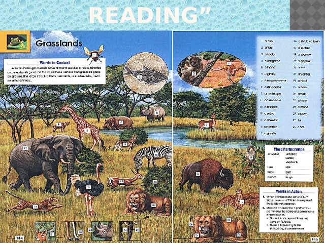 METHOD: “MIND READING”  
