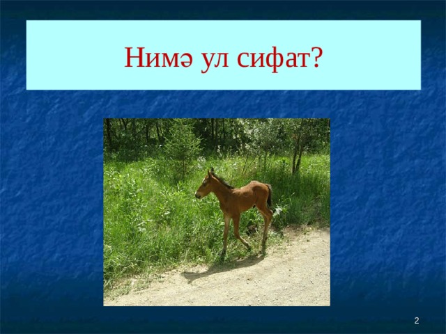 Нимә ул сифат?  