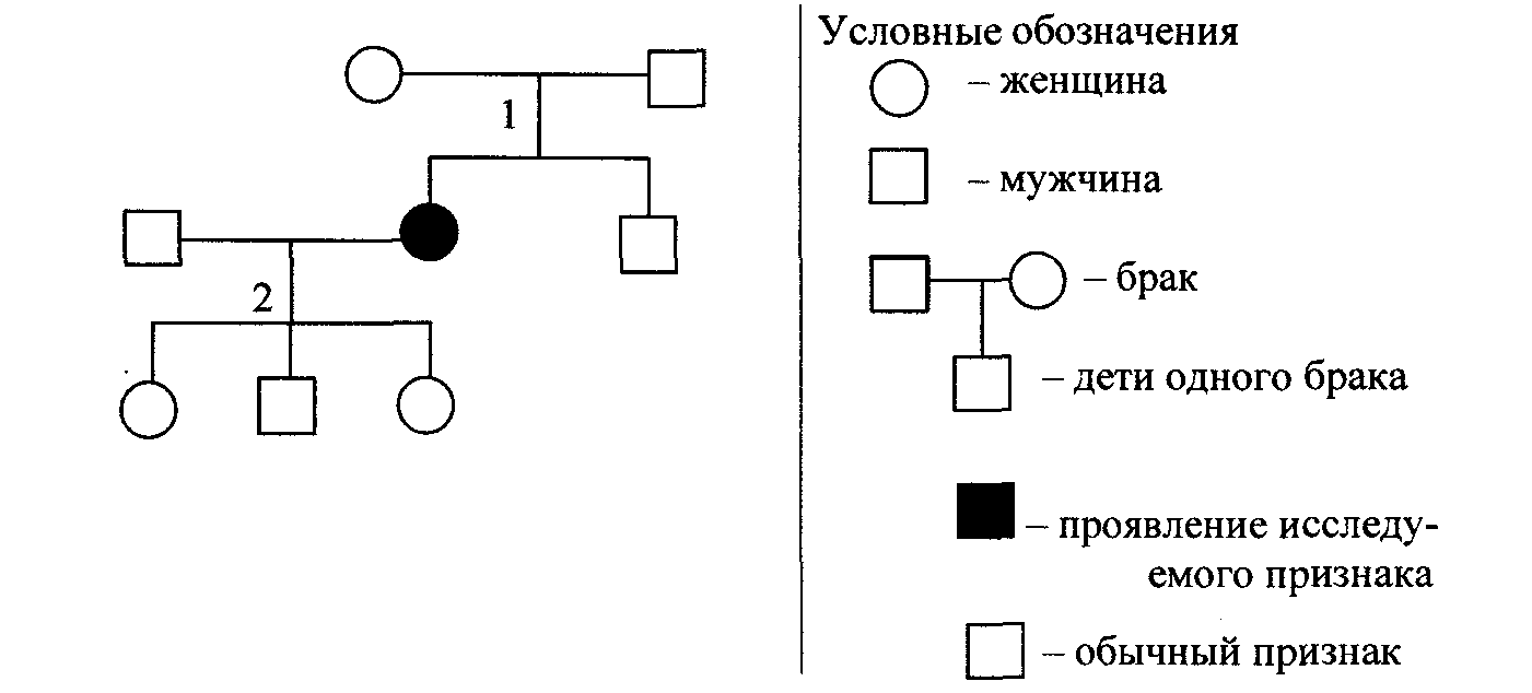 По схеме родословной определите тип наследования