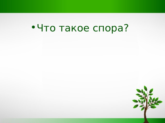 Что такое спора?   