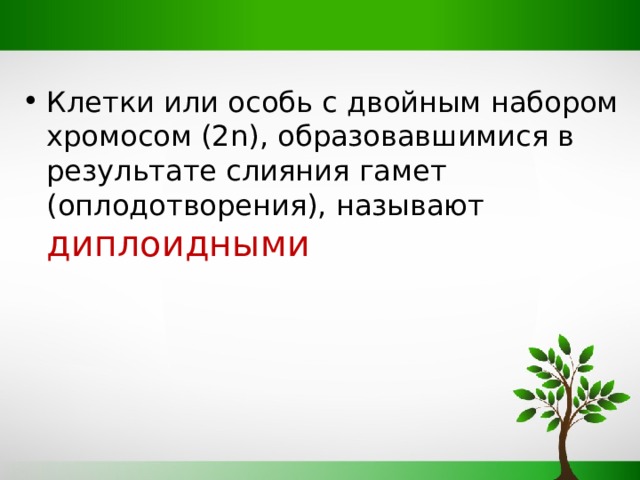 Клетки или особь с двойным набором хромосом (2 n), образовавшимися в результате слияния гамет (оплодотворения), называют диплоидными 