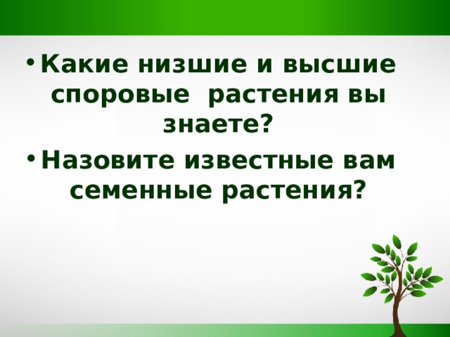 Какие низшие и высшие споровые растения вы знаете? Назовите известные вам семенные растения? 