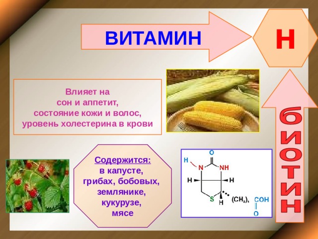 H ВИТАМИН    Влияет на  сон и аппетит, состояние кожи и волос, уровень холестерина в крови   Содержится: в капусте, грибах, бобовых, землянике, кукурузе, мясе 