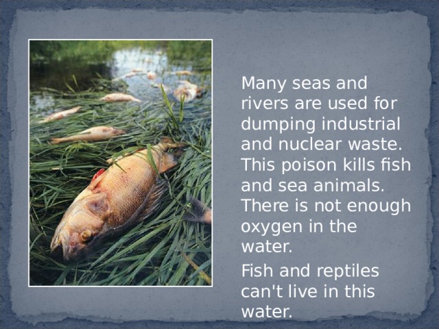  Many seas and rivers are used for dumping industrial and nuclear waste. This poison kills fish and sea animals. There is not enough oxygen in the water.  Fish and reptiles can't live in this water. 