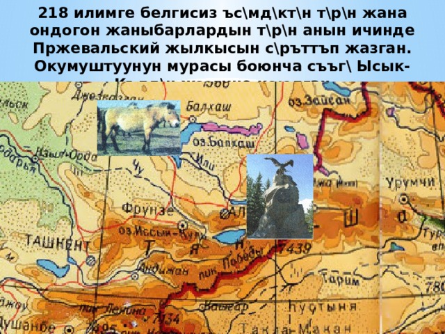 218 илимге белгисиз ъс\мд\кт\н т\р\н жана ондогон жаныбарлардын т\р\н анын ичинде Пржевальский жылкысын с\ръттъп жазган. Окумуштуунун мурасы боюнча съъг\ Ысык-Кълд\н жээгине коюлган 