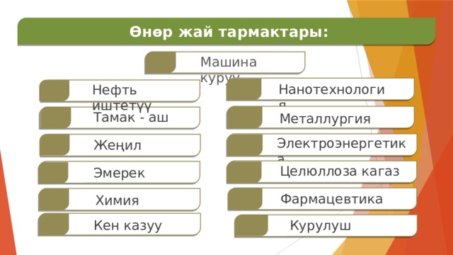  Өнөр жай тармактары: Машина куруу     Нанотехнология Нефть иштетүү    Тамак - аш    Металлургия Электроэнергетика     Жеңил Целюллоза кагаз     Эмерек    Фармацевтика  Химия     Курулуш Кен казуу 