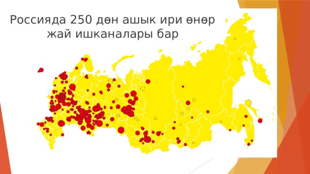 Россияда 250 дөн ашык ири өнөр жай ишканалары бар 