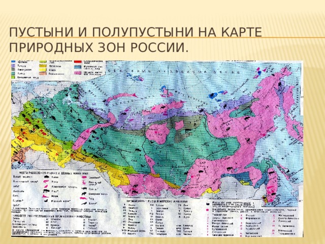 Географическое положение полупустынь и пустынь в евразии. Зона пустынь и полупустынь в России на карте. Географическое положение пустынь и полупустынь в России на карте. Зона пустыни на карте России. Зона пустыни и полупустыни России на карте.