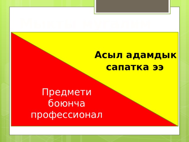  Мыкты мугалим Чыныгы мугалим Предмети боюнча профессионал  Асыл адамдык сапатка ээ 