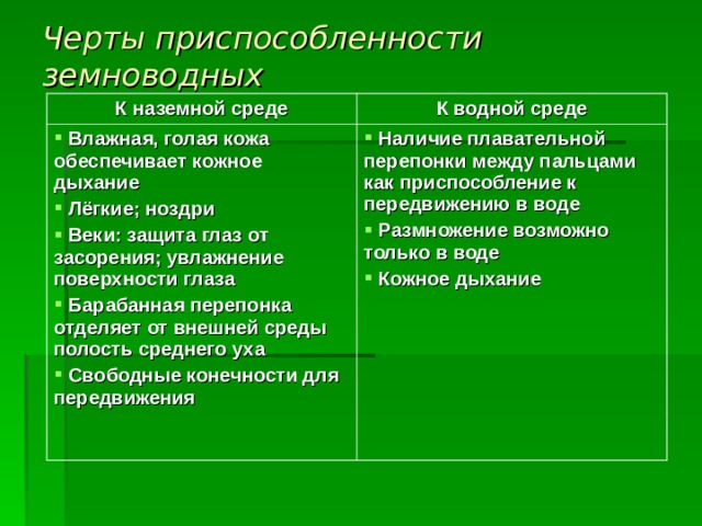 Черты приспособленности земноводных К наземной среде К водной среде  Влажная, голая кожа обеспечивает кожное дыхание  Лёгкие; ноздри  Веки: защита глаз от засорения; увлажнение поверхности глаза  Барабанная перепонка отделяет от внешней среды полость среднего уха  Свободные конечности для передвижения   Наличие плавательной перепонки между пальцами как приспособление к передвижению в воде  Размножение возможно только в воде  Кожное дыхание 