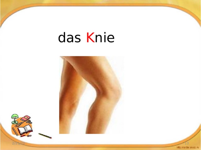 das K nie 2/21/20
