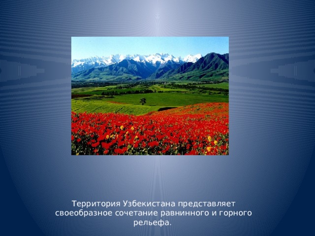Территория Узбекистана представляет своеобразное сочетание равнинного и горного рельефа.