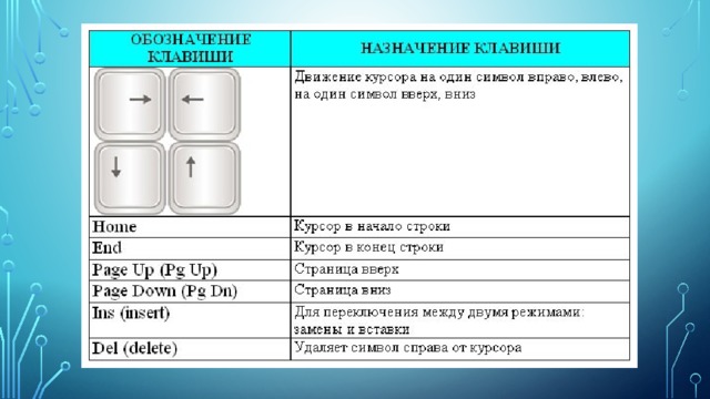 Клавиши f1 f12. Функциональные клавиши f1-f12 на компьютере?. Назначение кнопок на клавиатуре компьютера f1-f12. Значение клавиш на клавиатуре компьютера f1-f12. Функции кнопок f1-f12 на клавиатуре.