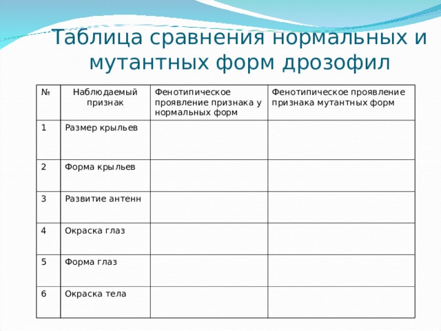 Таблица сравнения нормальных и мутантных форм дрозофил № Наблюдаемый признак 1 Размер крыльев Фенотипическое проявление признака у нормальных форм 2 Фенотипическое проявление признака мутантных форм Форма крыльев 3 Развитие антенн 4 Окраска глаз 5 Форма глаз 6 Окраска тела 