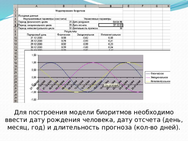 Для построения модели биоритмов необходимо ввести дату рождения человека, дату отсчета (день, месяц, год) и длительность прогноза (кол-во дней). 