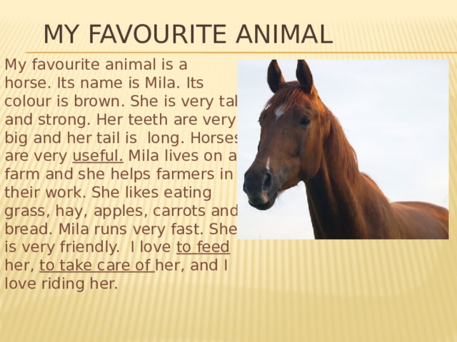 My favourite animal My favourite animal is a horse. Its name is Mila. Its colour is brown. She is very tall and strong. Her teeth are very big and her tail is long. Horses are very useful. Mila lives on a farm and she helps farmers in their work. She likes eating grass, hay, apples, carrots and bread. Mila runs very fast. She is very friendly.  I love to feed her, to take care of her, and I love riding her. 
