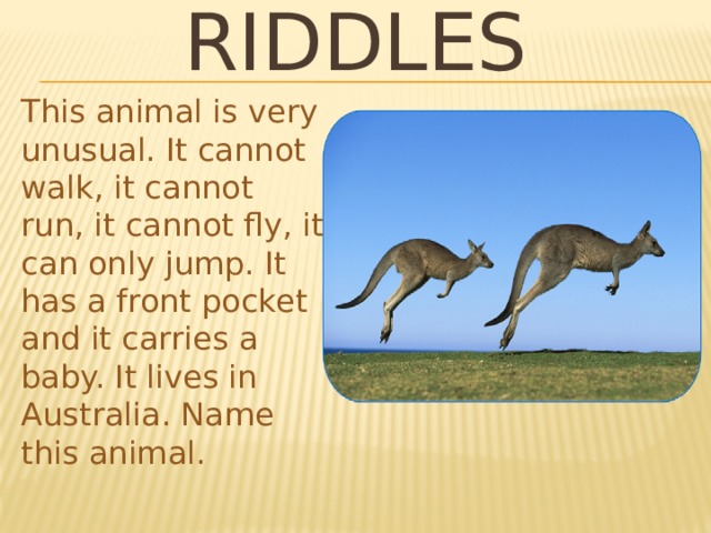 RIDDLES This animal is very unusual. It cannot walk, it cannot run, it cannot fly, it can only jump. It has a front pocket and it carries a baby. It lives in Australia. Name this animal. 