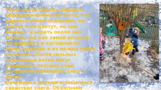 Учим детей беречь деревья, обращаем внимание на то, что деревья зимой отдыхают, не растут и не цветут, но они живые – и играть около них нельзя, так как зимой веточки на деревьях и кустарниках очень хрупкие и их можно легко поломать. После сильных снегопадов ветки могут сломаться, поэтому учим аккуратно отряхивать снег с веток. Беседуем с детьми о защитных свойствах снега. Объясняем детям, как правильно сгребать снег к стволам деревьев и кустарников, чтобы уберечь их от вымерзания.  