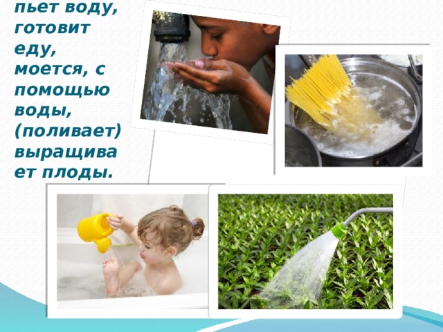 Человек: пьет воду, готовит еду, моется, с помощью воды, (поливает) выращивает плоды. 