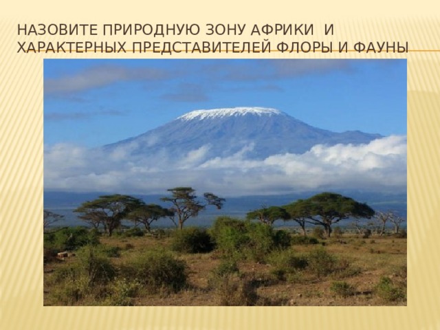 Назовите природную зону Африки и характерных представителей флоры и фауны 