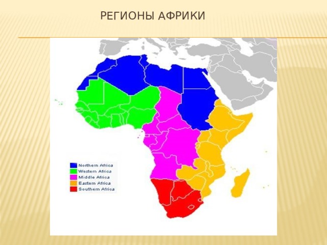 Регионы африки центральная африка. Регионы Африки. Регионы Африки 7 класс география.