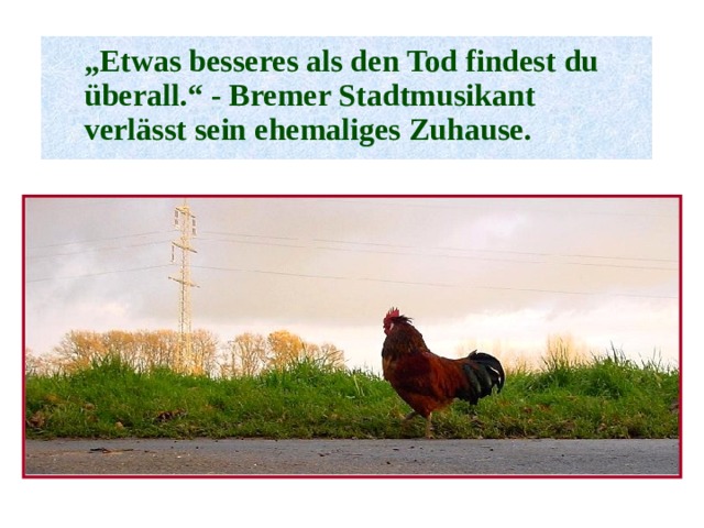  „ Etwas besseres als den Tod findest du ü berall.“ - Bremer Stadtmusikant verl ä sst sein ehemaliges Zuhause . 