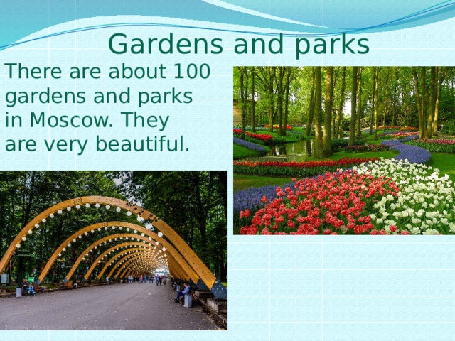 Gardens and parks There are about 100 gardens and parks in Moscow. They are very beautiful. 