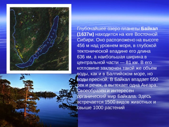 Глубочайшее озеро планеты Байкал (1637м) находится на юге Восточной Сибири. Оно расположено на высоте 456 м над уровнем моря, в глубокой тектонической впадине его длина 636 км, а наибольшая ширина в центральной части — 81 км. В его котловине заключен такой же объем воды, как и в Балтийском море, но воды пресной. В Байкал впадает 550 рек и речек, а вытекает одна Ангара. Своеобразен и интересен органический мир Байкала. Здесь встречается 1500 видов животных и свыше 1000 растений 