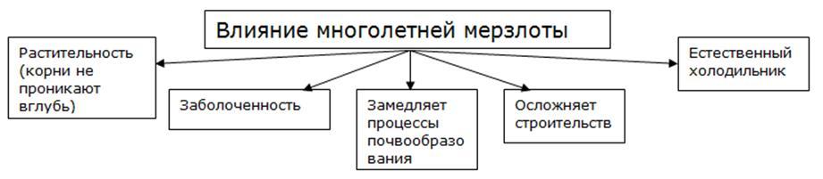 Какое влияние оказывает многолетняя мерзлота. Влияние многолетней мерзлоты на деятельность человека. Влияние многолетней мерзлоты на природу и человека. Схема влияния многолетней мерзлоты. Влияние многолетней мерзлоты на окружающую среду.