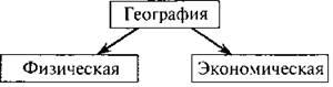 Физическая география это. Физическая и экономическая география схема. Схема отраслей география физическая экономическая. Экономическая география 6 класс.