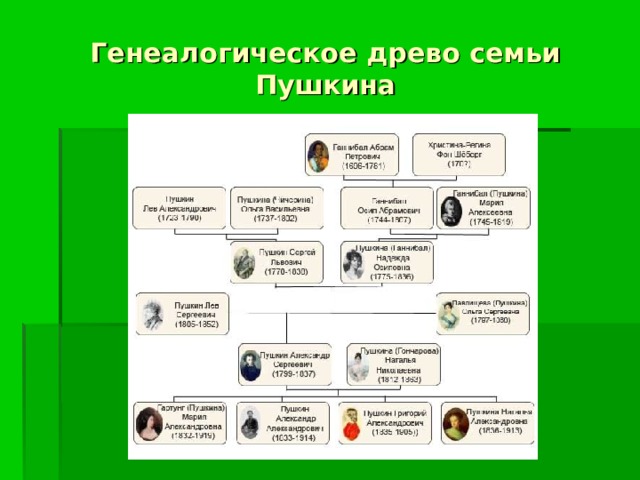 Генеалогическое древо семьи Пушкина 