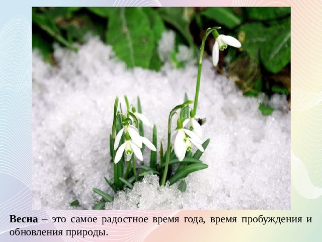 Весна – это самое радостное время года, время пробуждения и обновления природы.