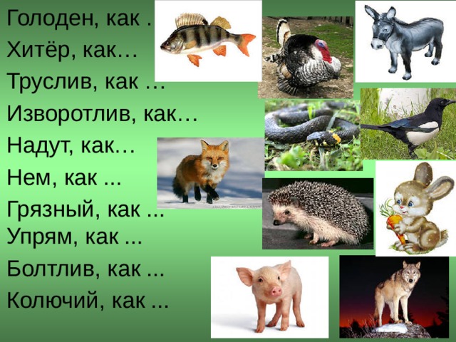 Голоден, как … Хитёр, как… Труслив, как … Изворотлив, как… Надут, как… Нем, как ... Грязный, как ...  Упрям, как ... Болтлив, как ... Колючий, как ...  