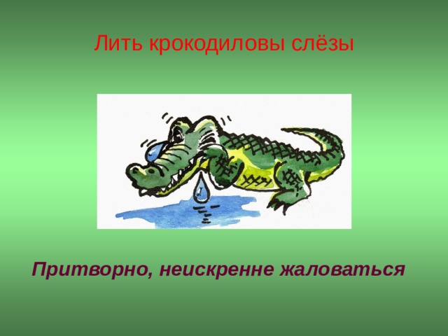 Лить крокодиловы слёзы  Притворно, неискренне жаловаться   