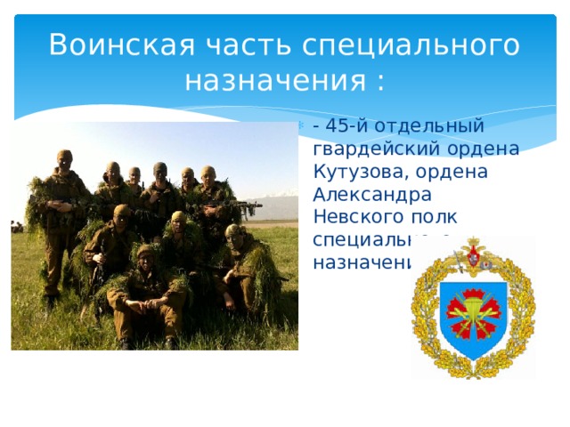 Воинская часть специального назначения : - 45-й отдельный гвардейский ордена Кутузова, ордена Александра Невского полк специального назначения. 