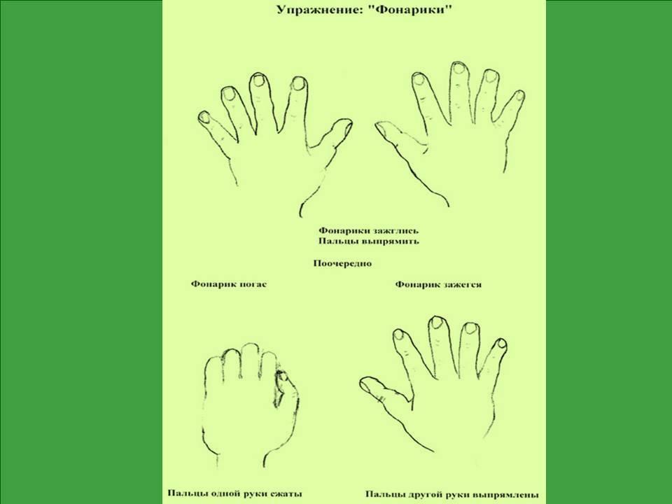 Связь пальцев рук