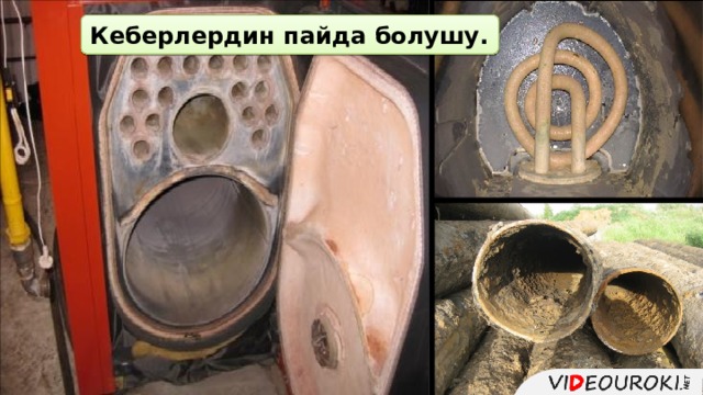 Кеберлердин пайда болушу. 