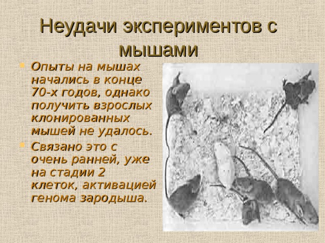 Неудачи экспериментов с мышами