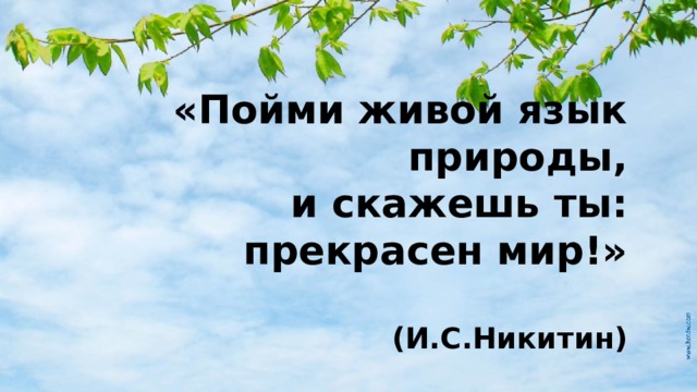 «Пойми живой язык природы,  и скажешь ты: прекрасен мир!»    (И.С.Никитин)   