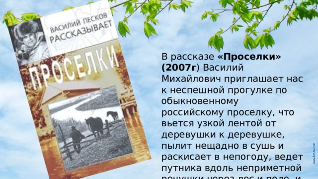 В рассказе «Проселки» (2007г ) Василий Михайлович приглашает нас к неспешной прогулке по обыкновенному российскому проселку, что вьется узкой лентой от деревушки к деревушке, пылит нещадно в сушь и раскисает в непогоду, ведет путника вдоль неприметной речушки через лес и поле, и мы видим свое родное, как будто писатель у нас побывал. 