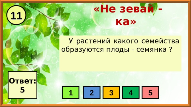 11 «Не зевай - ка» У растений какого семейства образуются плоды - семянка ? Ответ: 5 1 2 3 4 5 