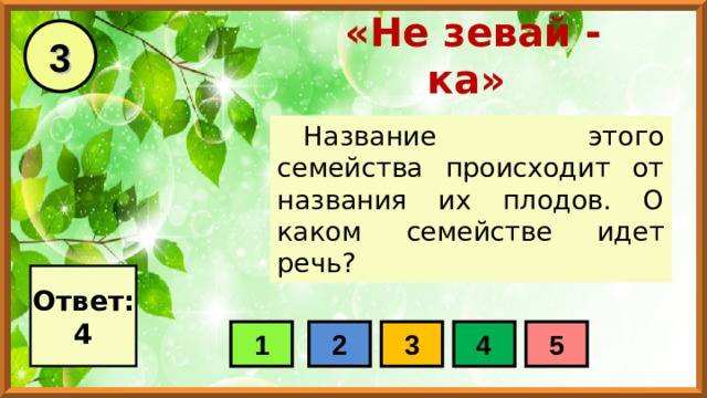 3 «Не зевай - ка» Название этого семейства происходит от названия их плодов. О каком семействе идет речь? Ответ: 4 1 2 3 4 5 