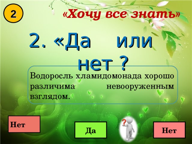 «Хочу все знать» 2 2. «Да или нет ? Водоросль хламидомонада хорошо различима невооруженным взглядом.  Нет  Да Нет 