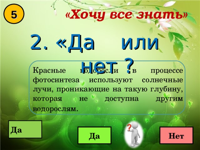 «Хочу все знать» 5 2. «Да или нет ? Красные водоросли в процессе фотосинтеза используют солнечные лучи, проникающие на такую глубину, которая не доступна другим водорослям .  Да  Да Нет 