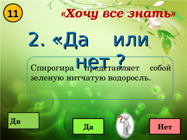 «Хочу все знать» 11 2. «Да или нет ? Спирогира представляет собой зеленую нитчатую водоросль.  Да  Да Нет 