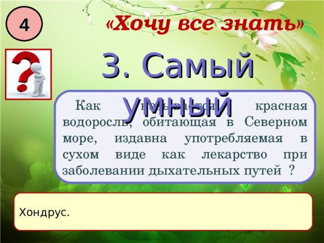 4 «Хочу все знать» 3. Самый умный Как называется красная водоросль, обитающая в Северном море, издавна употребляемая в сухом виде как лекарство при заболевании дыхательных путей ? Хондрус. 