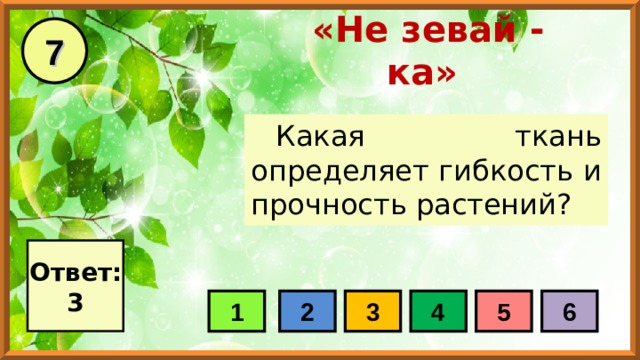 7 «Не зевай - ка» Какая ткань определяет гибкость и прочность растений? Ответ: 3 1 2 3 4 5 6 